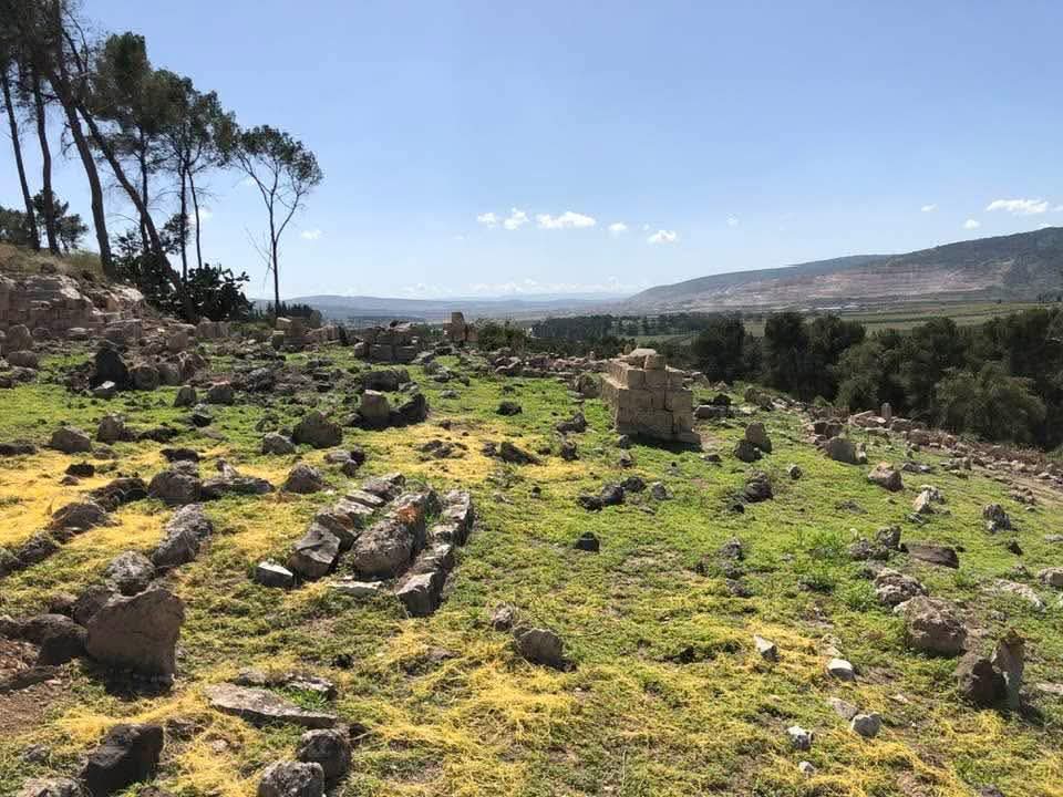 قرية لوبية / مدينة طبريا، عدسة إياد جابر